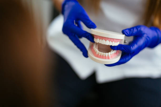 Professional  Holistic Dental Services in Rio Bravo, TX